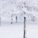 Activitats de neu al Berguedà