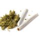 Taller preventiu de consum de deivats del cànnabis