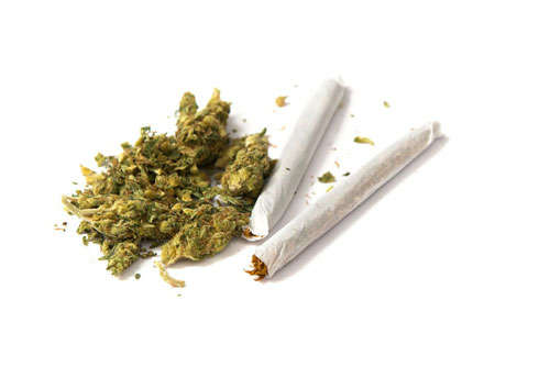 Taller preventiu cannabis