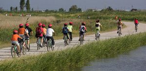 Cycling route in Delta de l'Ebre